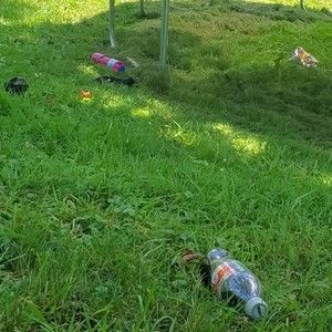 Meet your Posher, Devon